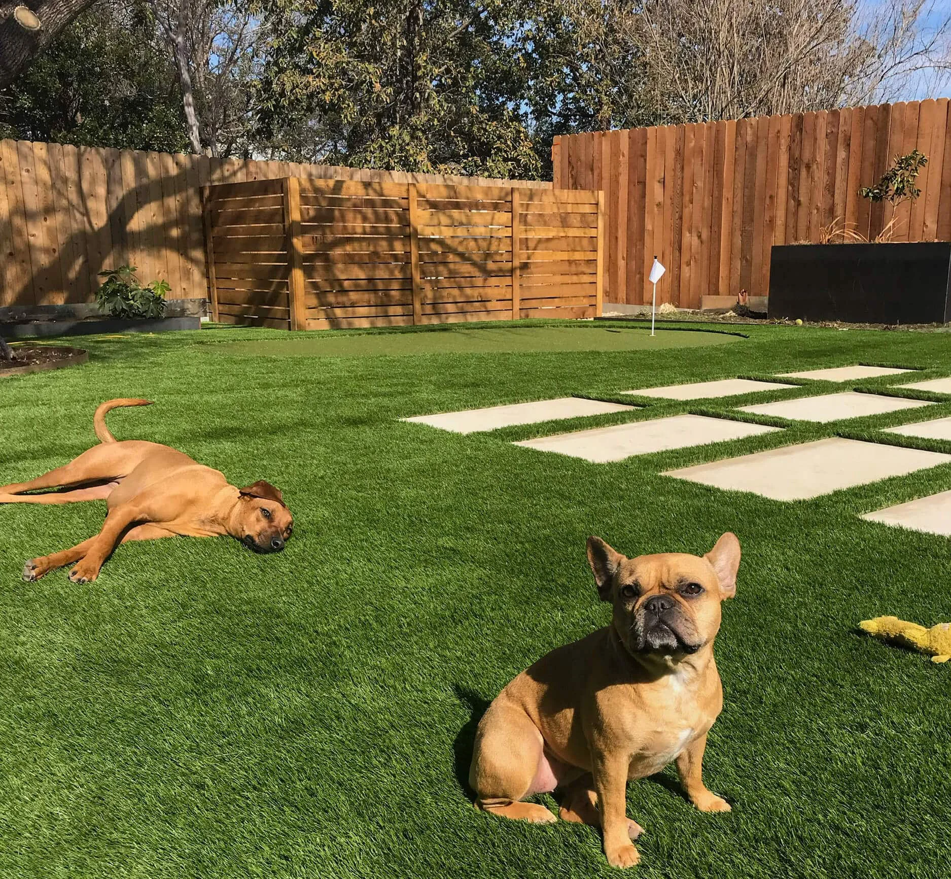 Lawnpop's Polyboard Lawn Edging Material