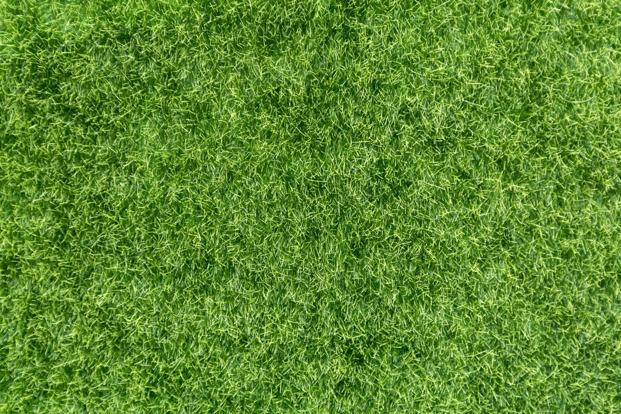 Artificial Grass Service Buda, TX