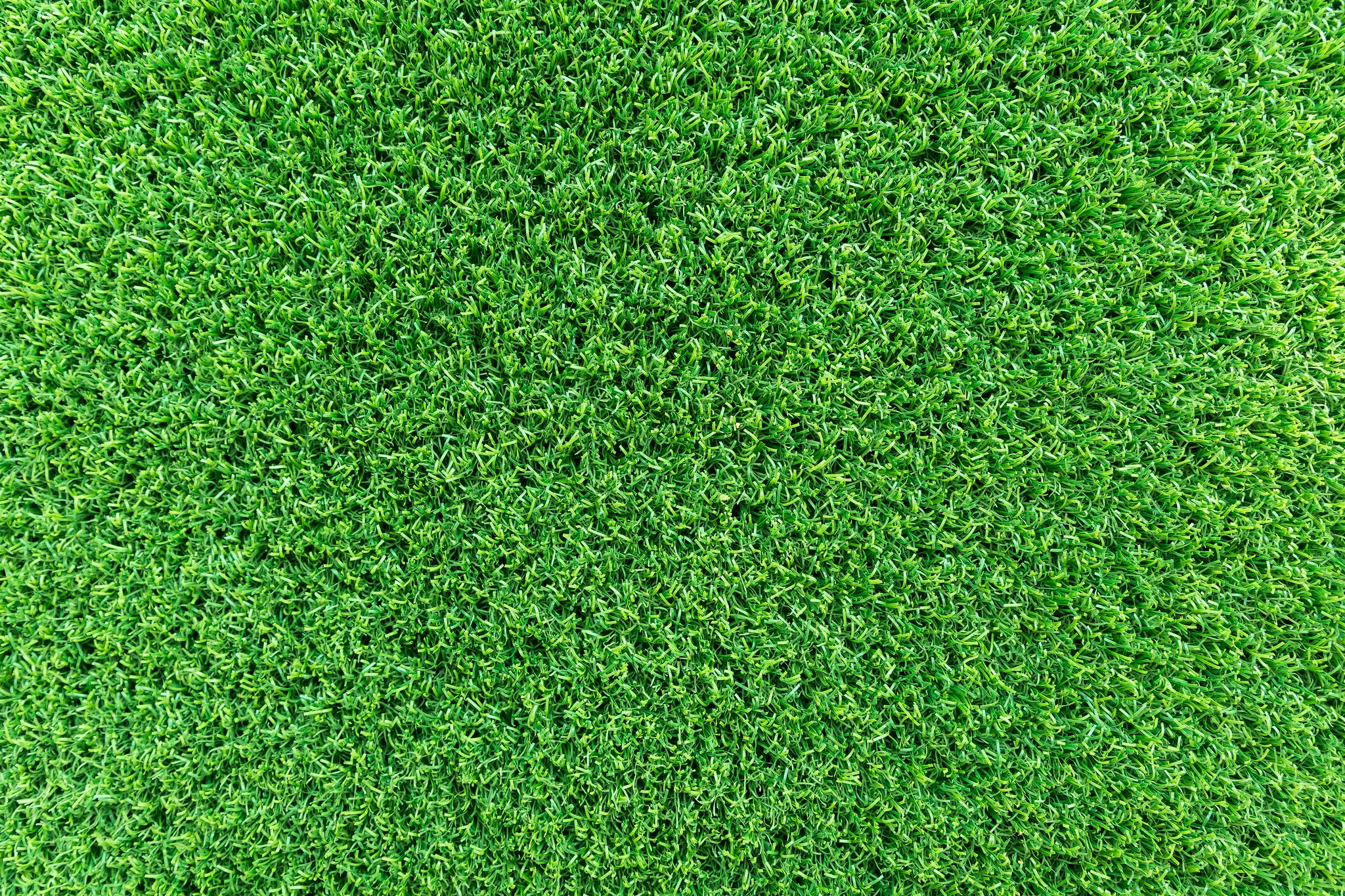 Artificial Turf vs. Grass for Football Fields: Which is the Better