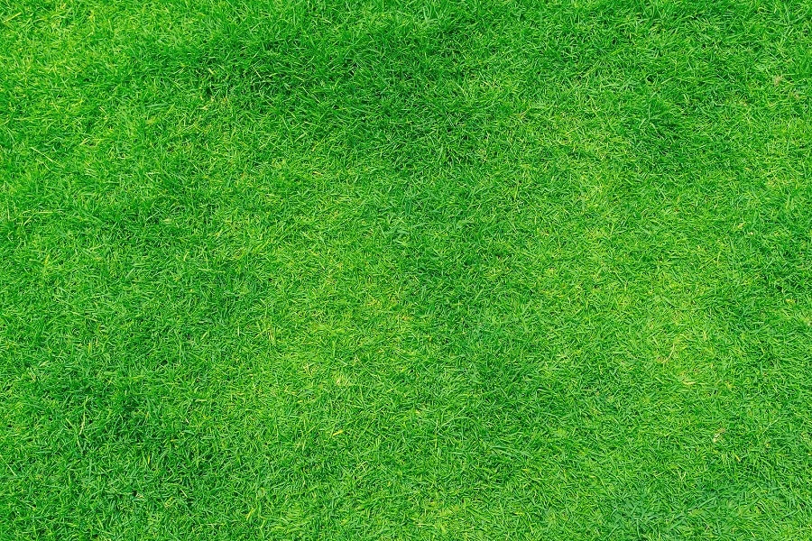 Backyard Putting Greens - The Ultimate Golfer’s Gift