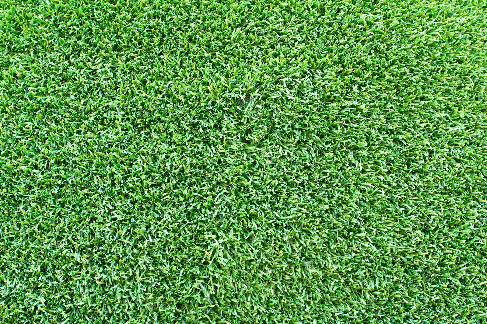 Can Fake Grass Look Real?
