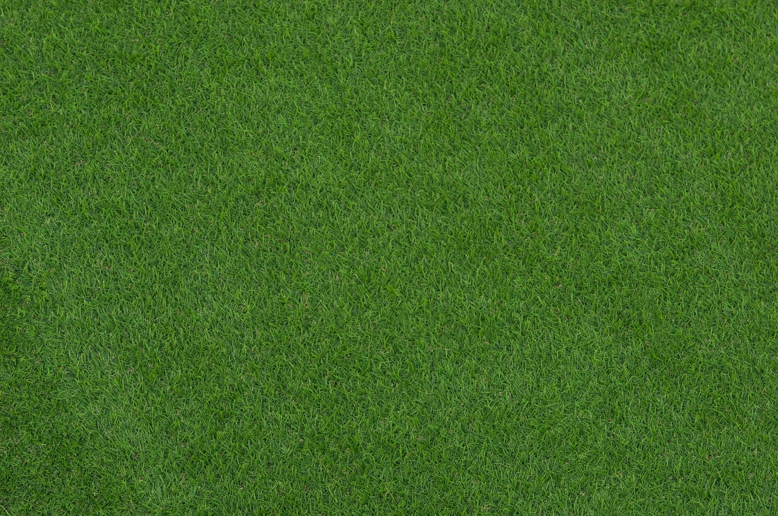 Fake Grass Be Laid On