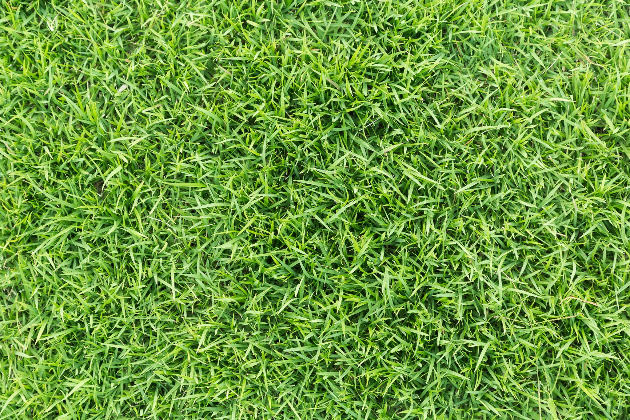How to Properly Lay Artificial Grass Over Dirt