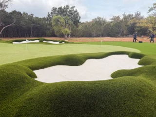Backyard golf never looked better.