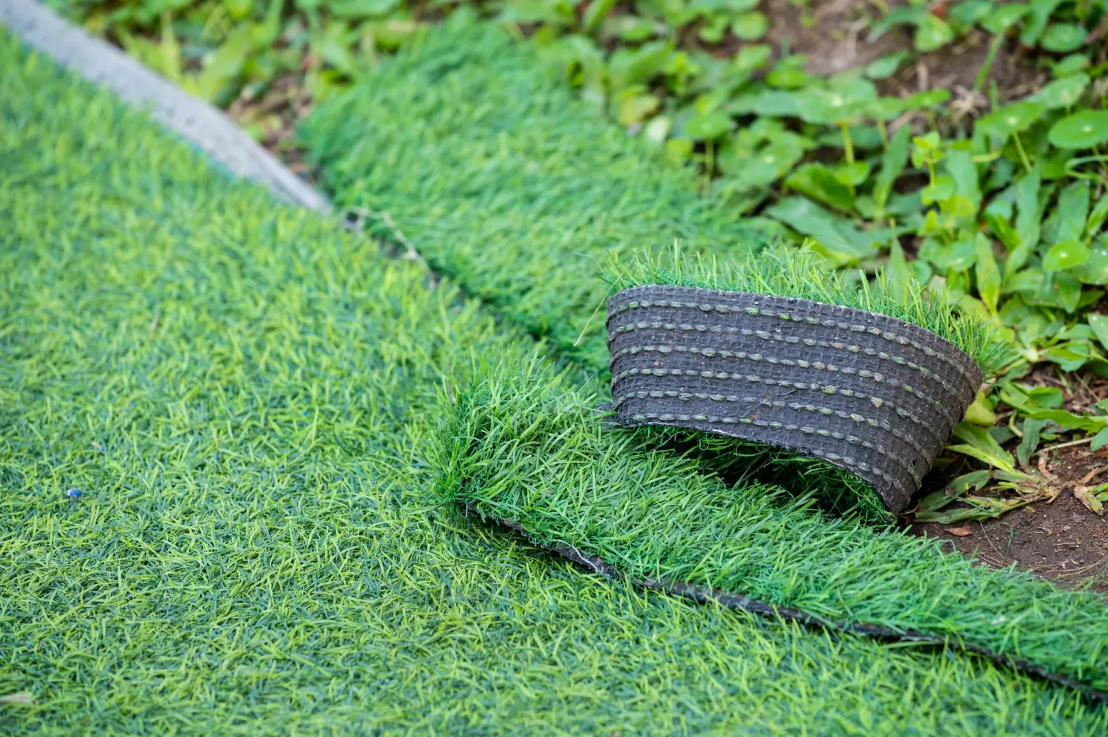 Importance of Turf Maintenance