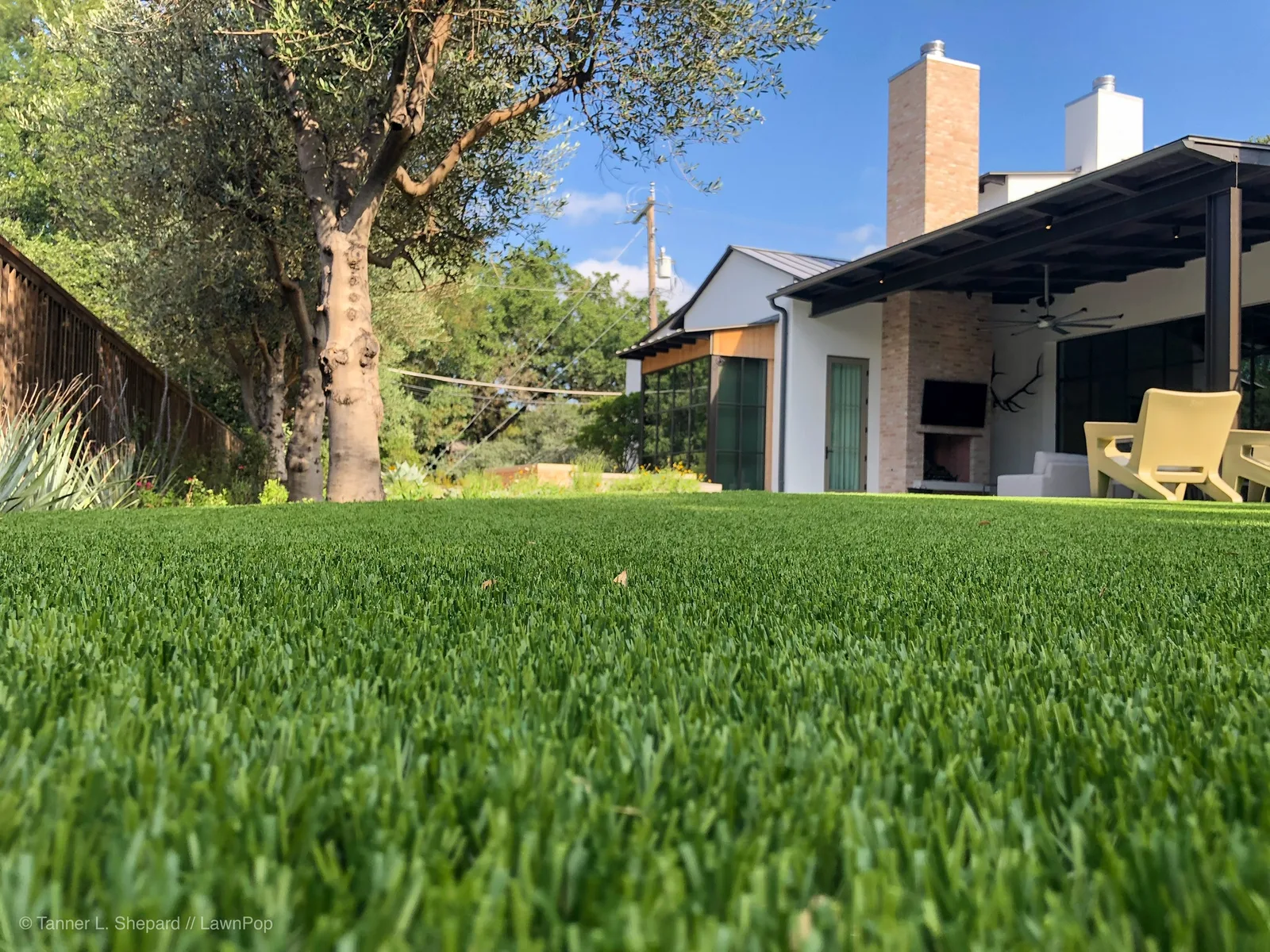 Artificial Grass