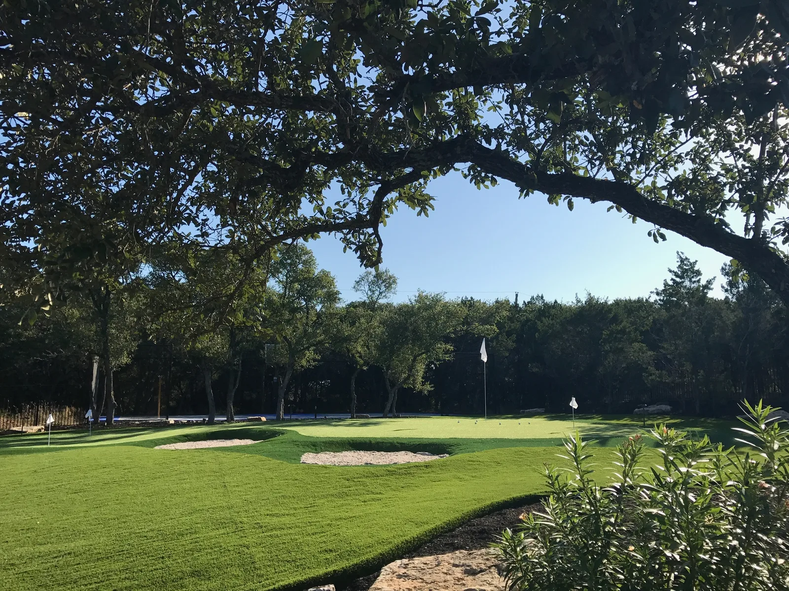Large custom putting green with white sand bunkers framed by Texas live oaks