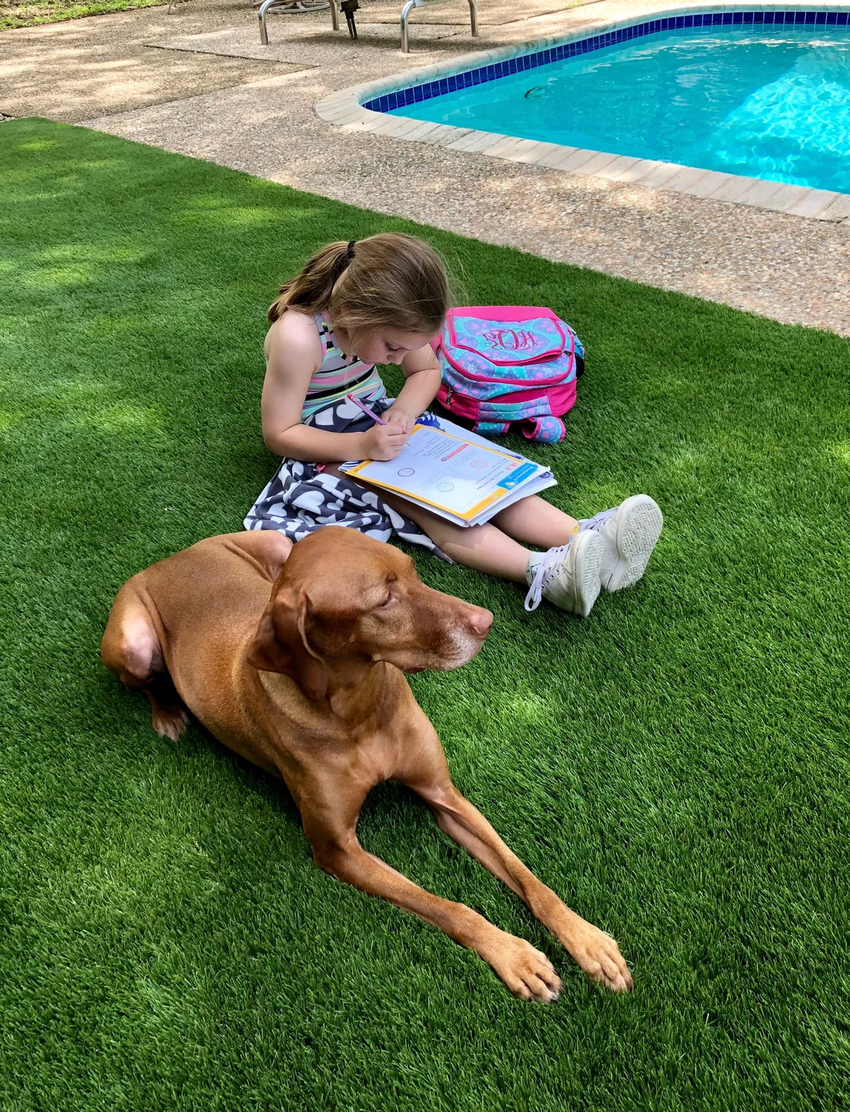 Dog resting on artificial turf while a child reads beside a pool