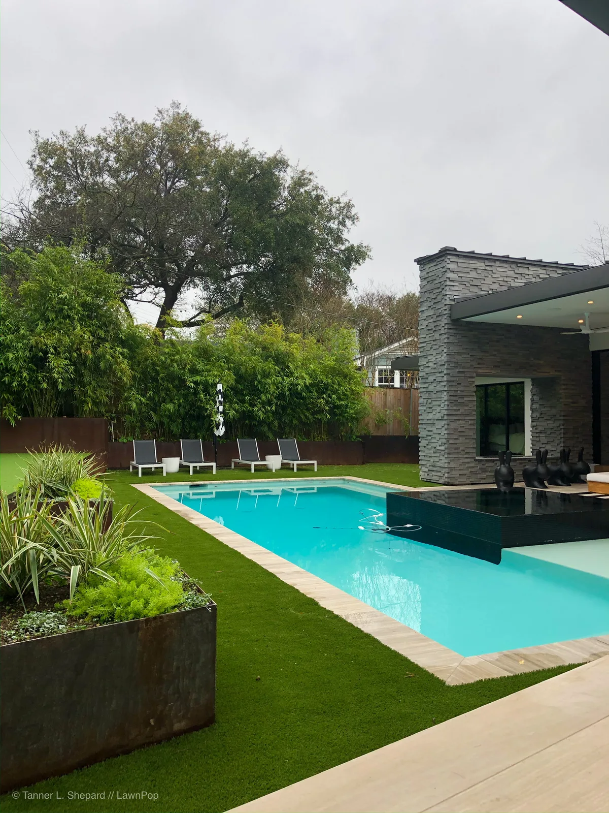 Modern pool and planter box beside artificial turf