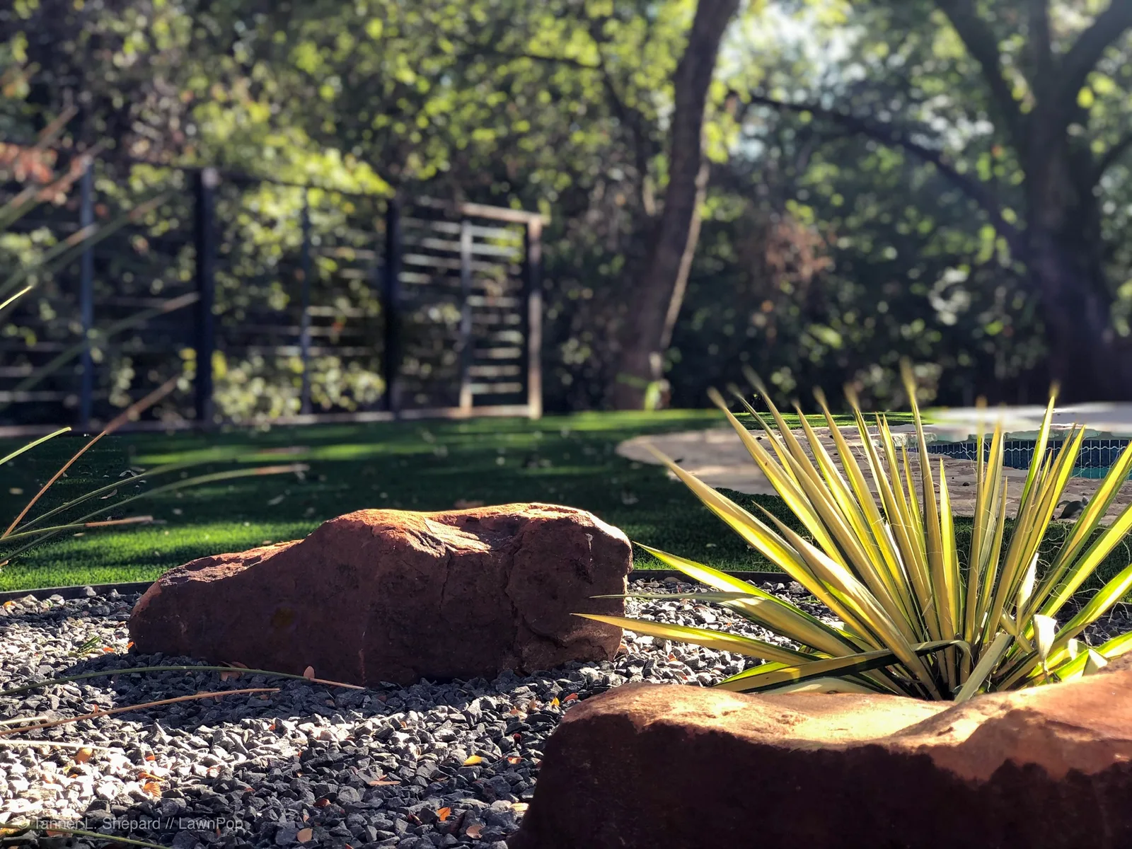 Xeriscape design with artificial turf, boulders, and agave
