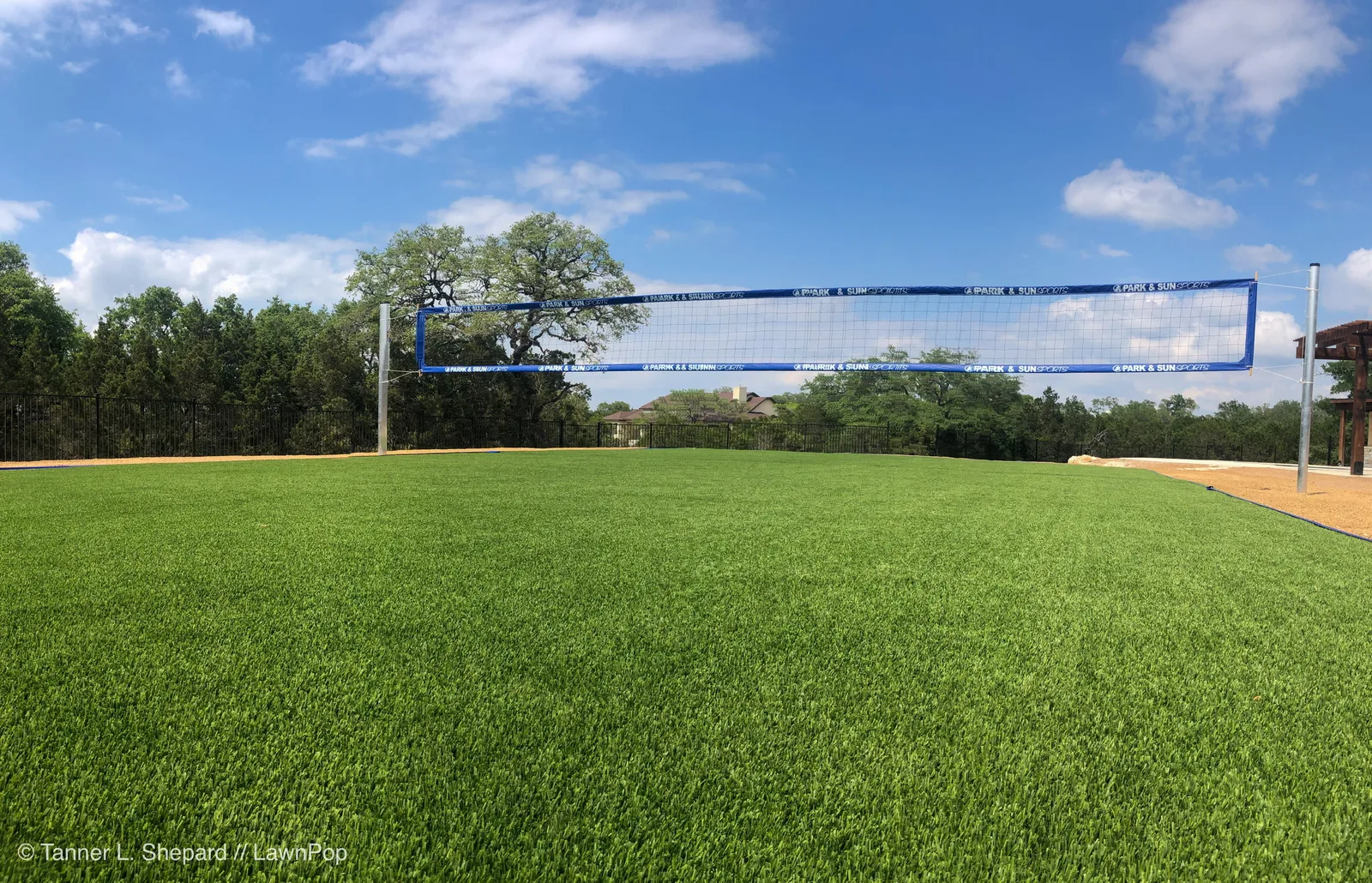 Sports Grass
