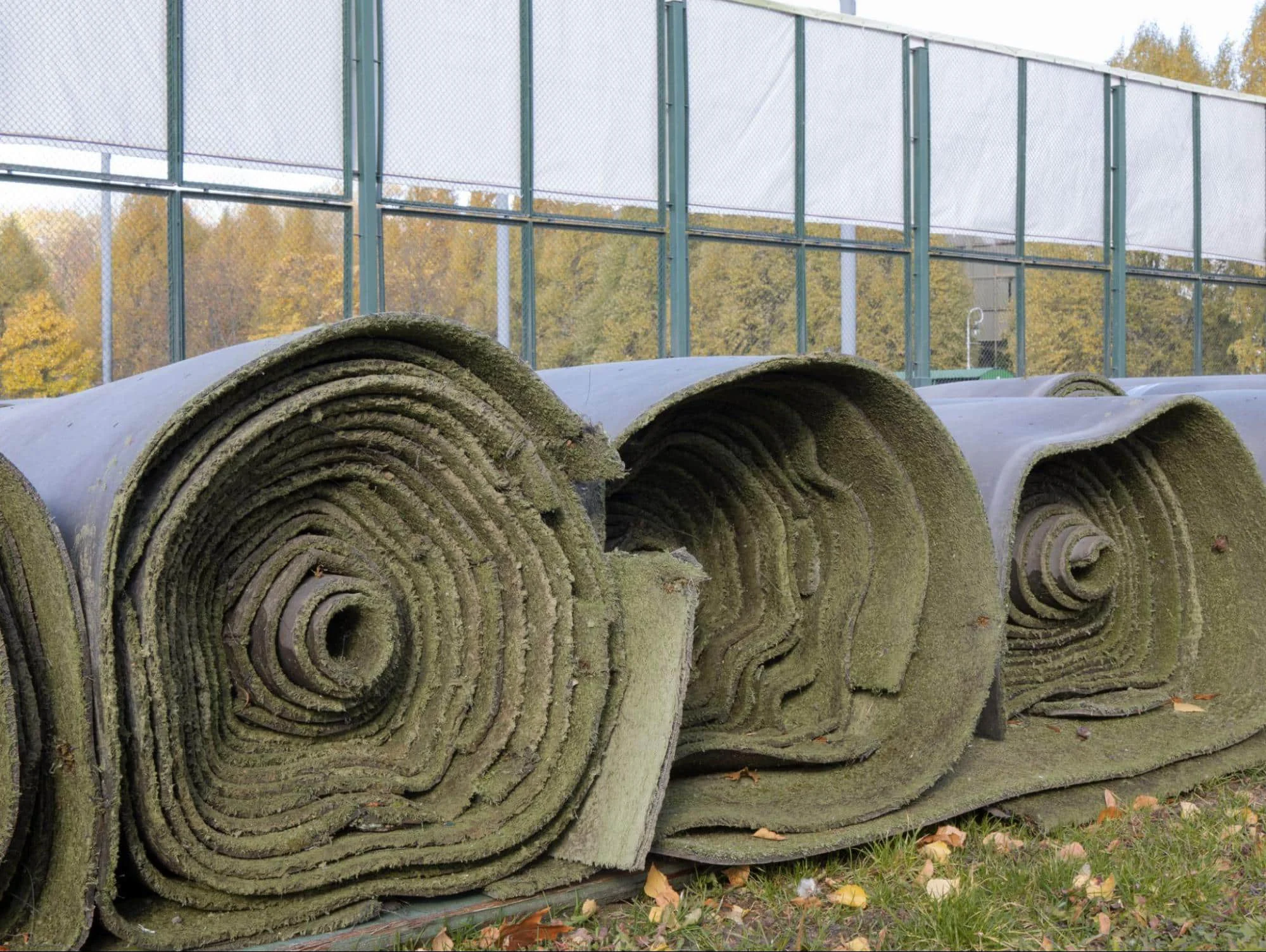 Renting Artificial Turf - What to Know