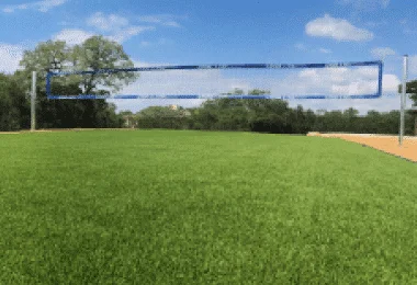 Sports Grass