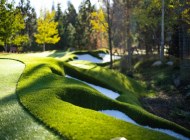 BNG-closeup-white-bunker