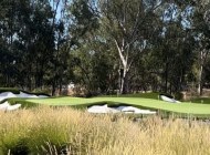 BNG-green-w-bunkers