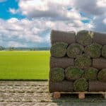 Artificial grass vs sod cost and maintenance comparison for modern yards