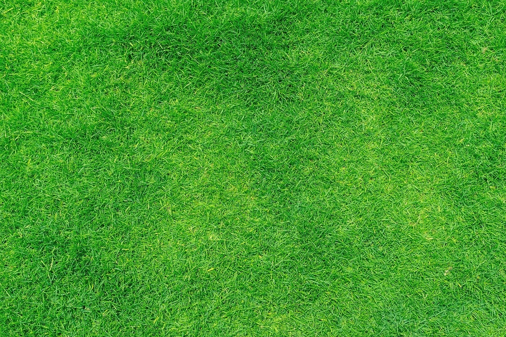 How Long Will Artificial Grass Last?