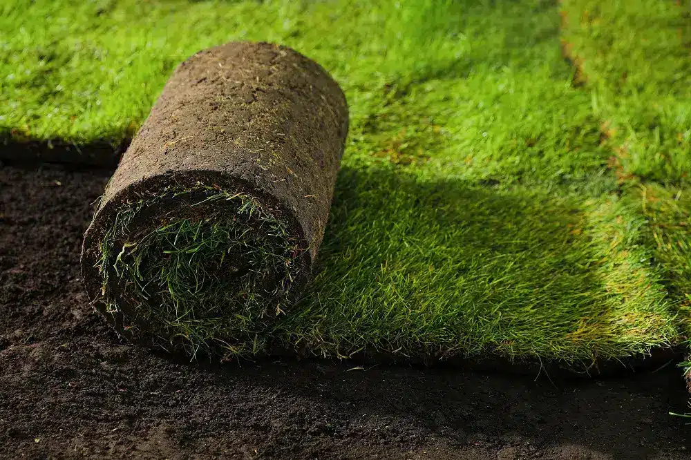 Does Artificial Grass Add Value to Your Home?