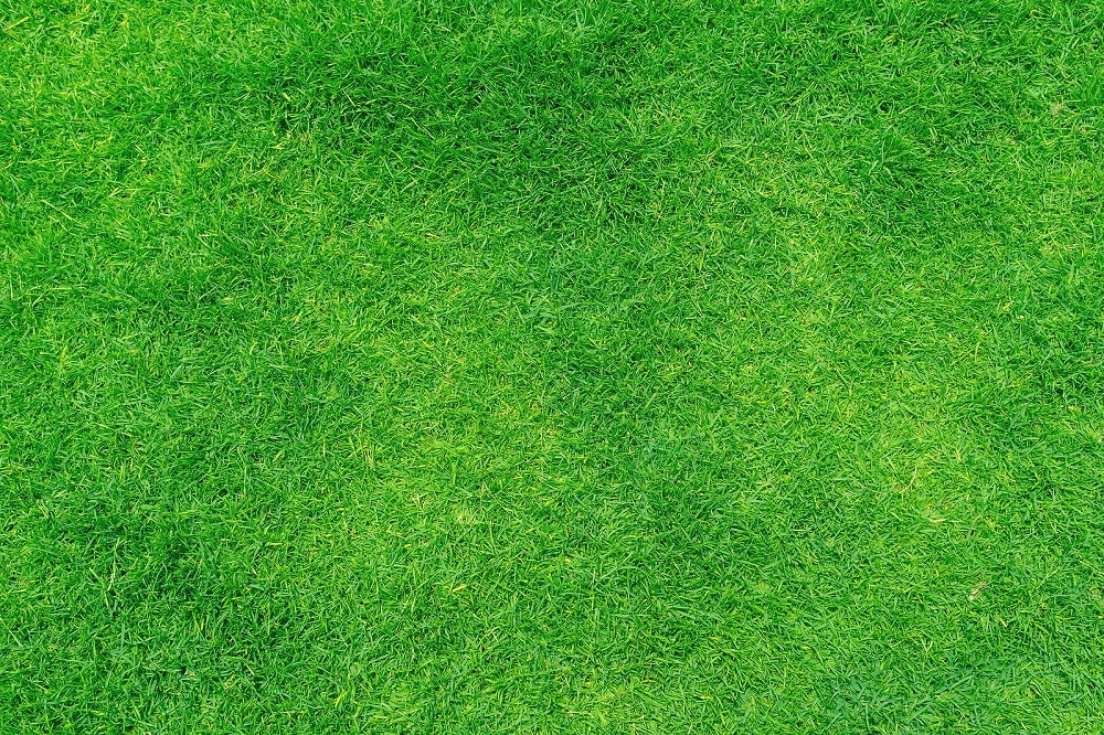 Benefits of Artificial Grass on Your Rooftop