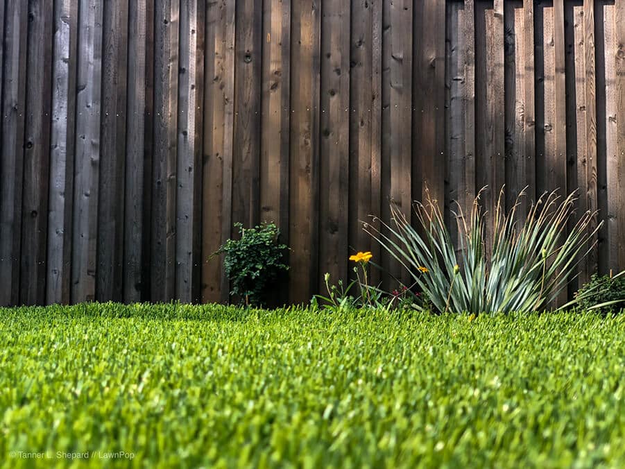 What Is Artificial Grass Made Of?