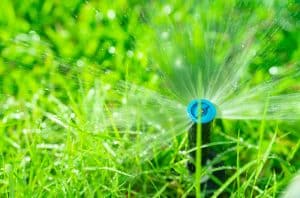 Artificial Grass and Water Conservation