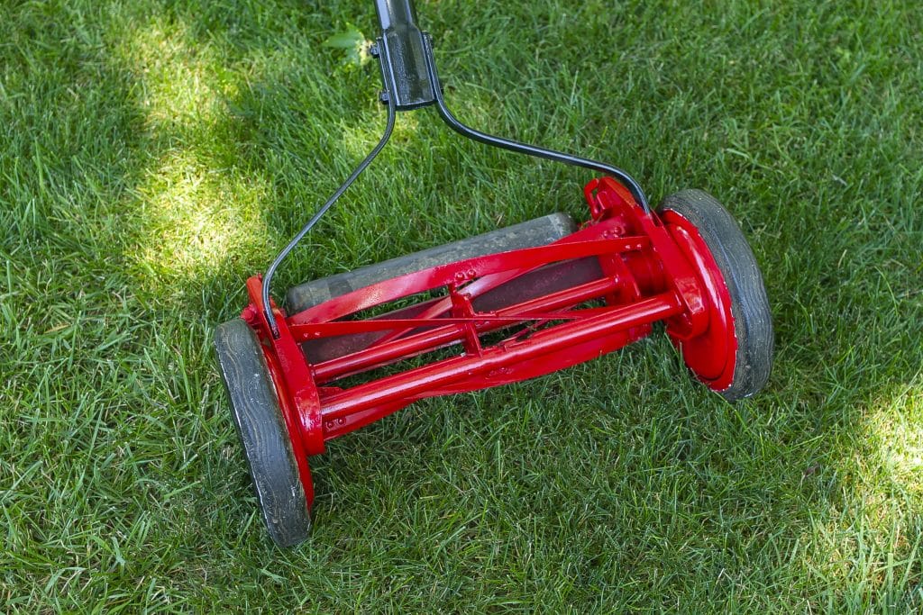 Artificial Grass Maintenance Artificial Grass Maintenance