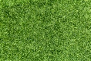 Artificial Grass Service Bear Creek, TX