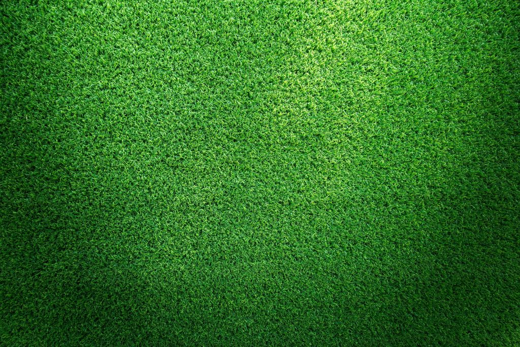 Artificial Turf Last