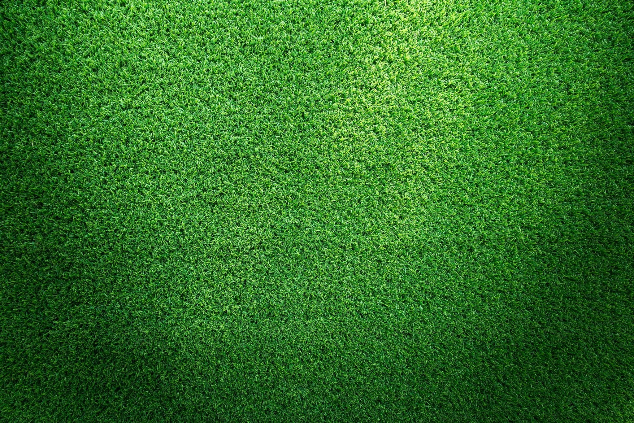 How Long Does Artificial Turf Last? LawnPop