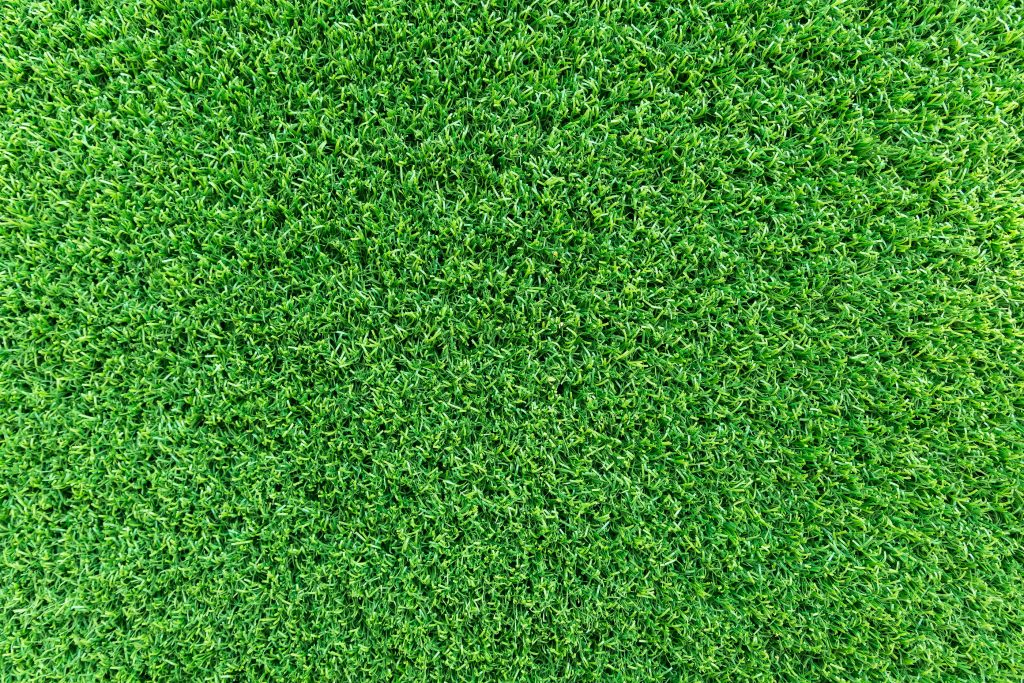 Artificial Turf vs Grass for Football Fields