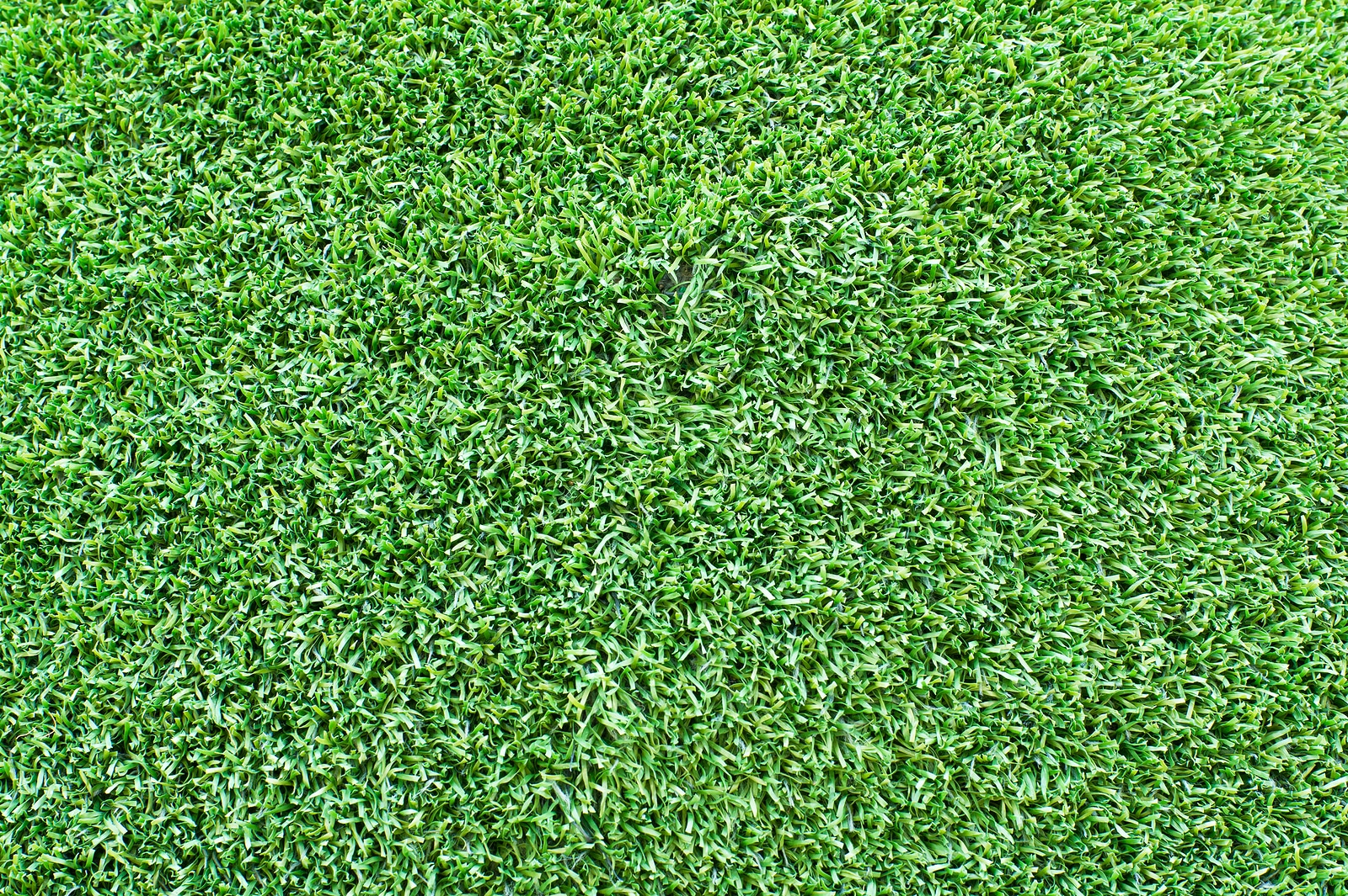 Fake grasses discount