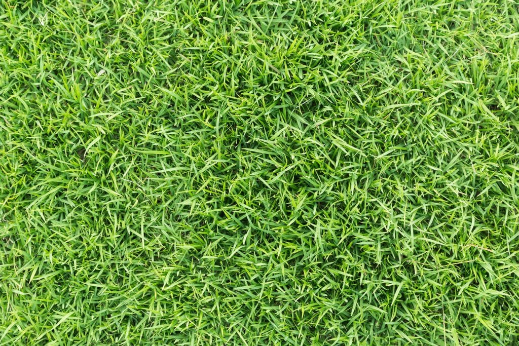 How to Properly Lay Artificial Grass Over Dirt