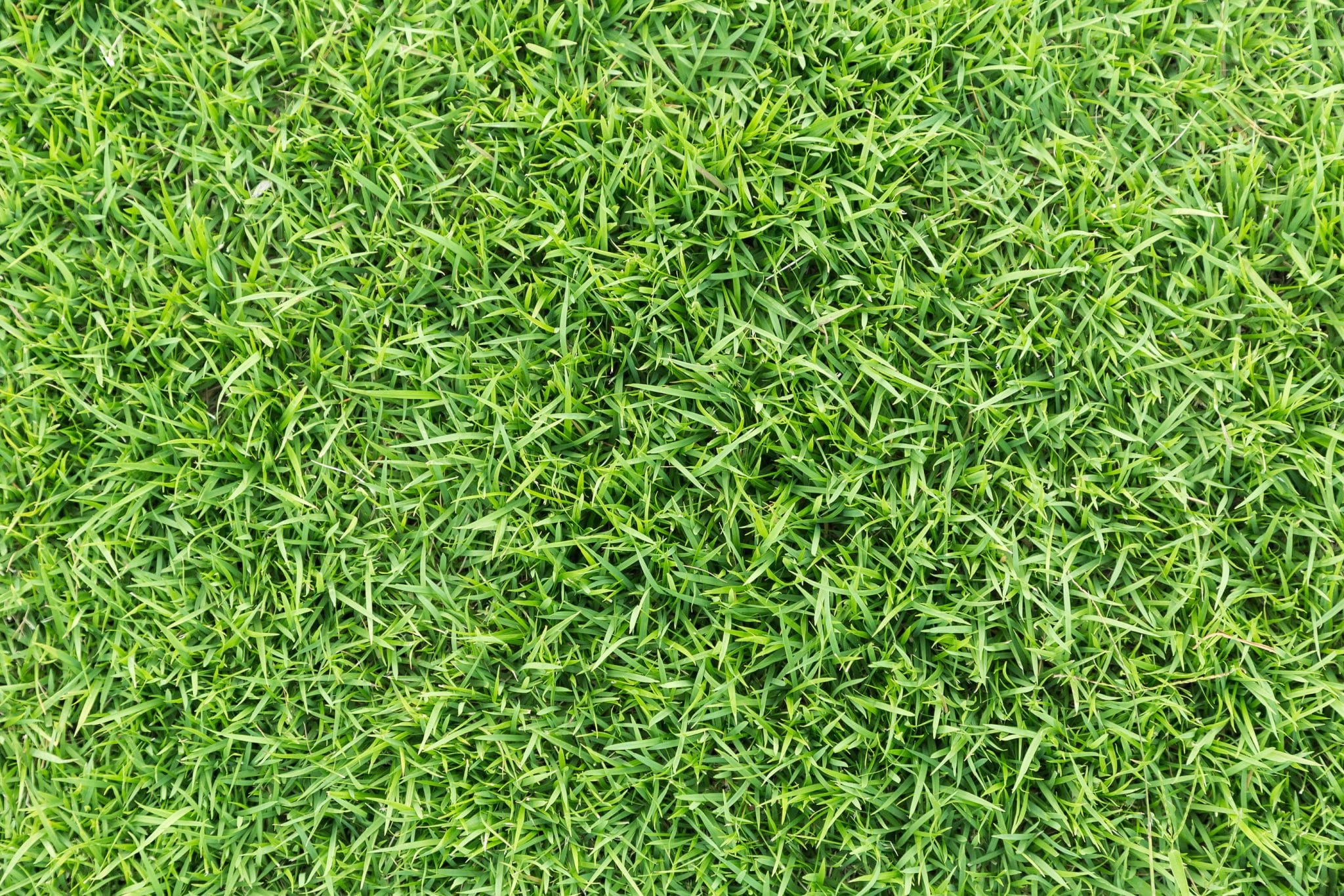 How to Properly Lay Artificial Grass Over Dirt LawnPop