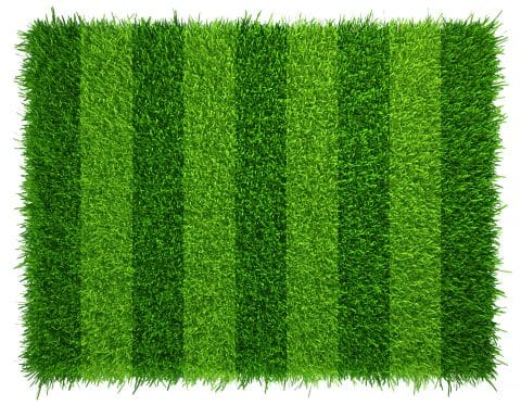 Most Realistic Artificial Grass on the Market