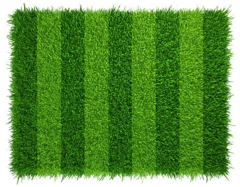 Most Realistic Artificial Grass on the Market