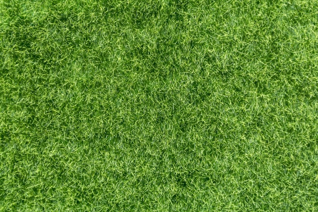 The Top Surfaces for Artificial Grass