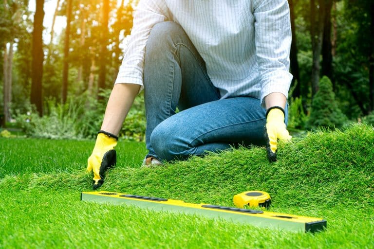 How to Calculate Artificial Turf Requirements for Your Yard LawnPop