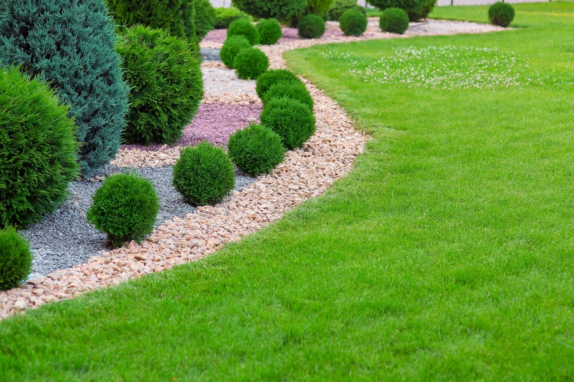 What’s the Best Artificial Grass for Dogs?