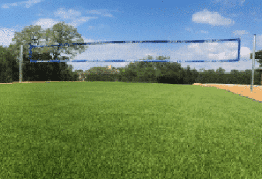 Sports Grass