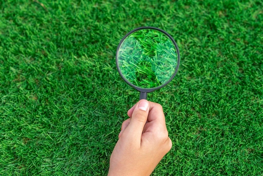Simple Steps to Properly Install Artificial Grass