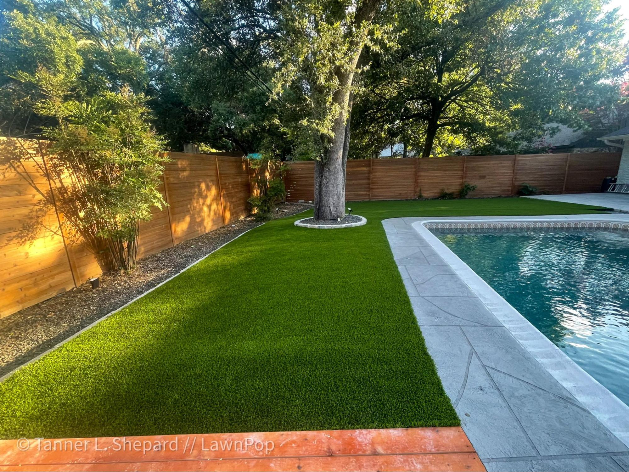 Austin, TX HOA Guidelines on Artificial Grass – What You Should Know