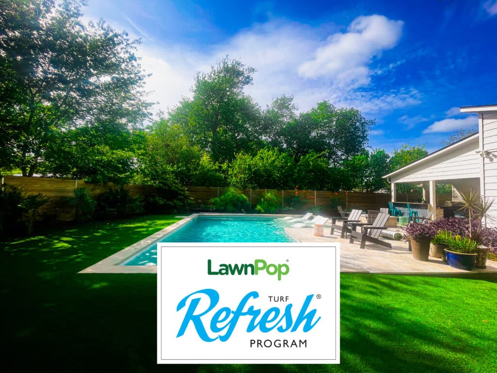 Artificial Turf Refresh & Cleaning Services | LawnPop Turf Refresh ® Program